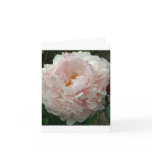 Bad hair day note cards