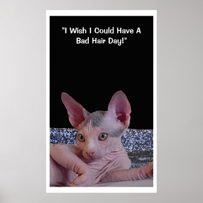 "Bad Hair Day" by Pamela48