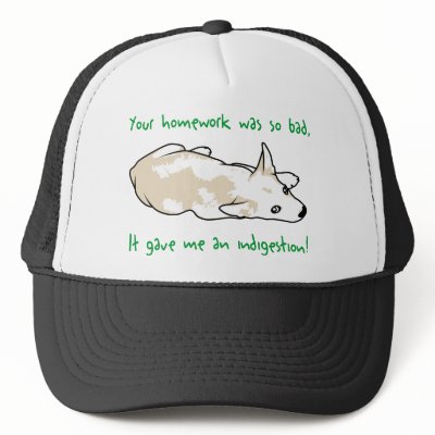 Bad Homework Hats by AschiutaTees