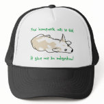 Bad Homework hats