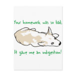 Bad Homework Postcards