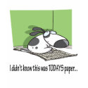 Bad Puppy  Newspaper t-shirts