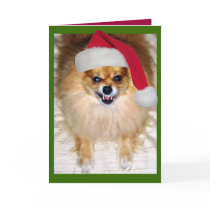 Bad Santa Christmas Card