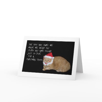 Bad Santa Fat Cat Christmas Card by corbyscats