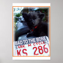 bad to the bone posters