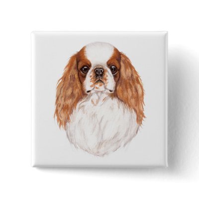 Badge: ENglish toy ( king charles) spaniel Buttons by kcpetcollectables