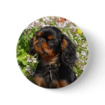 Badge: King charles spaniel / English toy dog Pins