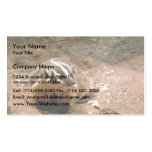 Badger Business Card