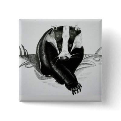 Badger Button/Badge by kthomaswildlifeart
