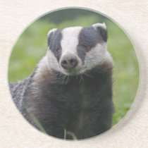 Badger Coaster
