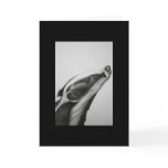 Badger Greetings card