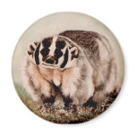 Badger in the mist magnets
