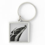 Badger Keychain
