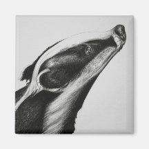 Badger Magnet
