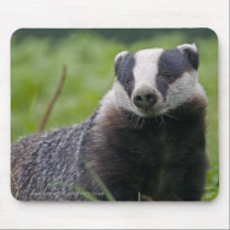 Badger Mousemat mousepads