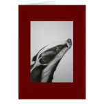 Badger Note card - Red