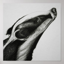 Badger Print