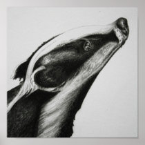 Badger Print