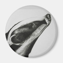 Badger Refrigerator Magnets