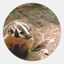 Badger Stickers