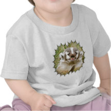 Badger Tee Shirt