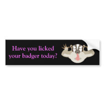 Badgering Badger_Have you licked your badger today