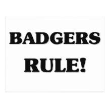Badgers Rule Post Card