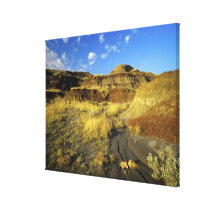Badlands at Dinosaur Provincial Park in Alberta,