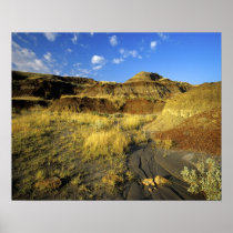 Badlands at Dinosaur Provincial Park in Alberta,