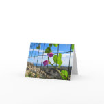 Badolato Morning Glory Blank Notecard