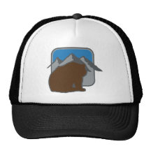 baer_dd.png hats