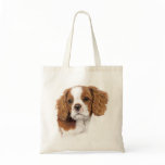 BAG : Blenhiem cavalier king charles