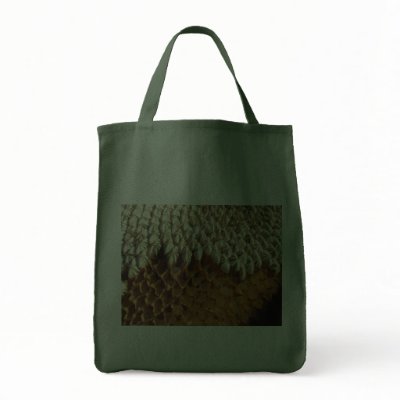 Bag - sunflower seeds by bkmuir