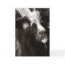 Bagot Goat Portrait Old Style Greeting Card