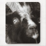Bagot Goat Portrait Old Style Mousepad
