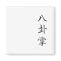 Bagua fridge magnet magnets