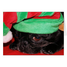 "Bah Hum Pug!" Holiday Greeting Card