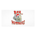 BAH HUMBUG photo cards