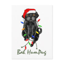 Bah HumPug Black Pug Post Card