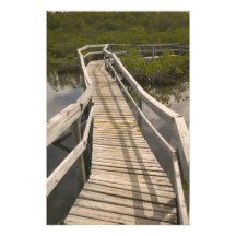 BAHAMAS, Grand Bahama Island, Eastern Side: Photograph