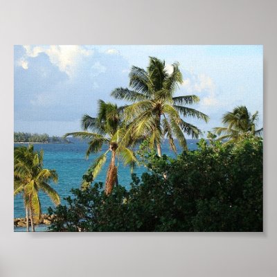 Bahamas Poster by BrOoKLyN_RoCkStar