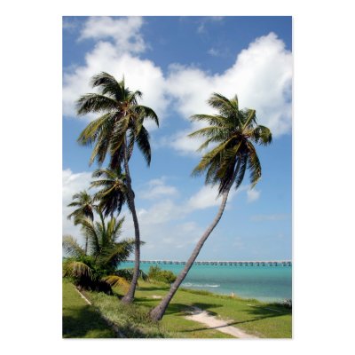 bahia honda state park and seven mile bridge business card template by paul68