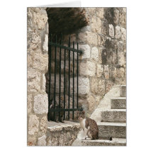"bail me out" Card (blank inside)