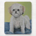 Bailey Bichon/shihtzu Art Mousepad