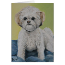 Bailey Bichon/shihtzu Art Note Card