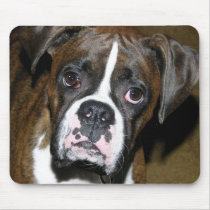 Bailey Close Up Mouse Mats