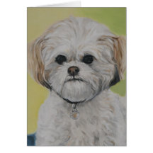 "Bailey" Mixed Bichon Shihtzu Dog Art Note Card