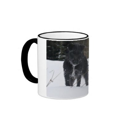 Bailey The Patterdale Terrier Coffee Mugs by imagesbycadac
