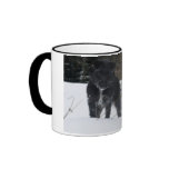 Bailey The Patterdale Terrier mugs