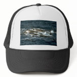 Baird's beaked whale hats